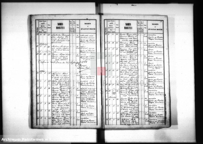 image.from.unit.number "Księga zgonów - Borek Nowy"