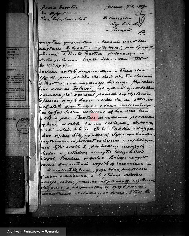 Obraz 18 z jednostki "Majętność leśna Dębowo powiat wyrzyski"