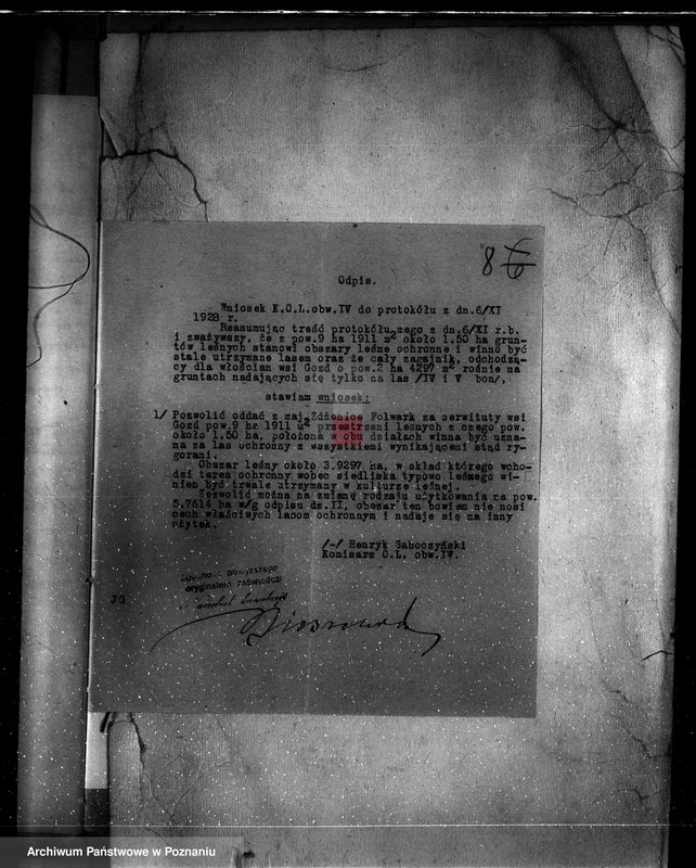 Obraz 12 z jednostki "Zmiana częściowej zmiany orzeczenia dotyczącego lasu majątku Zdzenice powiat turecki"