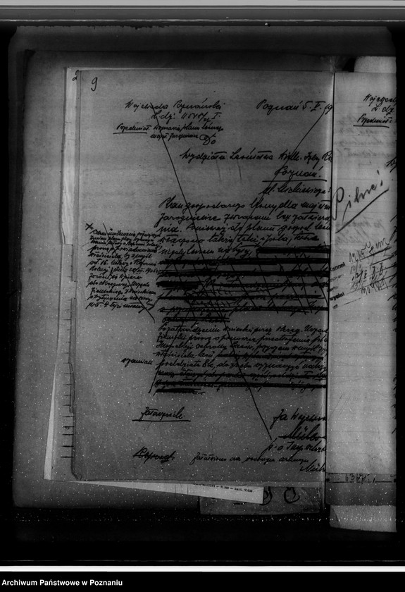 Obraz 13 z jednostki "Gospodarka w lasach majątku Jarogniewice powiat kościański"