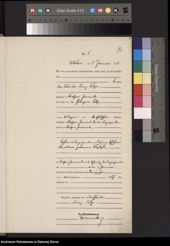 Obraz 3 z jednostki "[Księga zgonów- Wolsztyn wieś]"