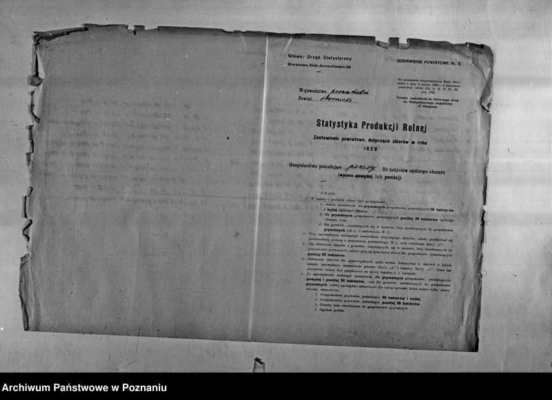 Obraz 7 z jednostki "/Statystyka produkcji rolnej - zestawienie powiatowe - Oborniki/"