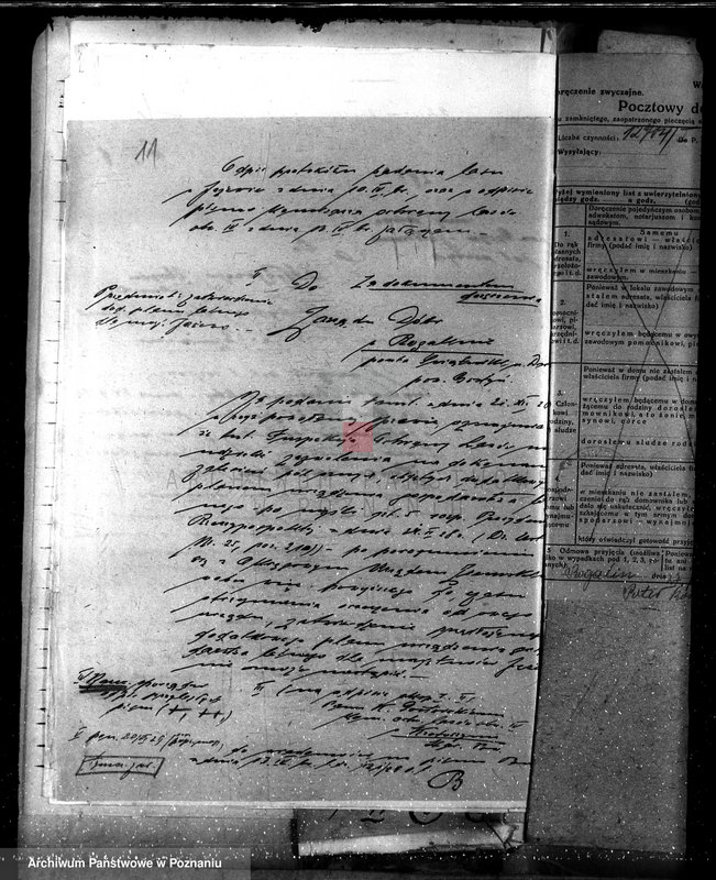 Obraz 15 z jednostki "Majętność leśna Jeżewo w powiecie gostyńskim"