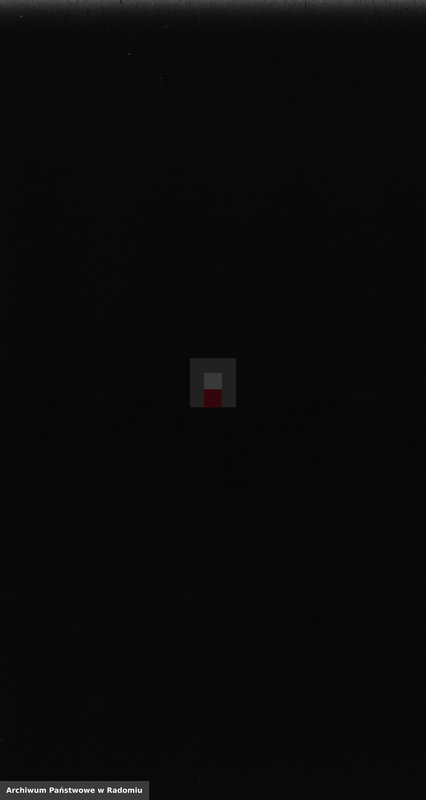 Obraz 2 z jednostki "[Duplikat akt urodzonych, zaślubionych i zmarłych parafii Wyśmierzyce z 1875 roku]"