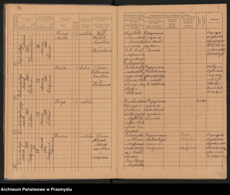 image.from.unit.number "Duplikat metryki urodzin za 1901 rok Urzędu metrykalnego izraelickiego w Radymnie. Tom VIII"