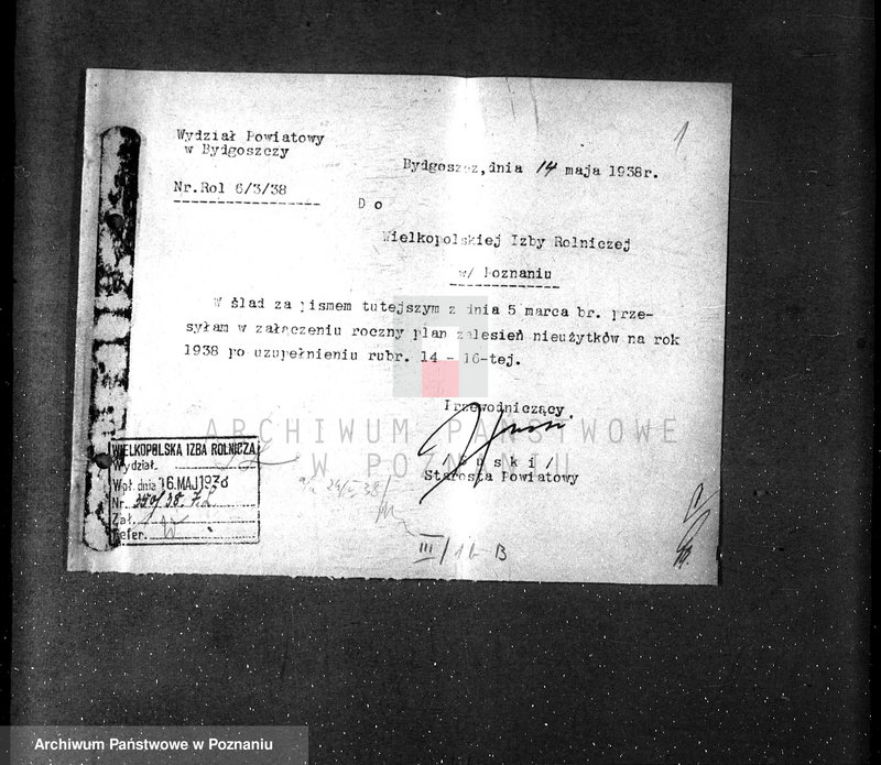 Obraz 5 z jednostki "Zalesienie nieużytków w powiecie bydgoskim"