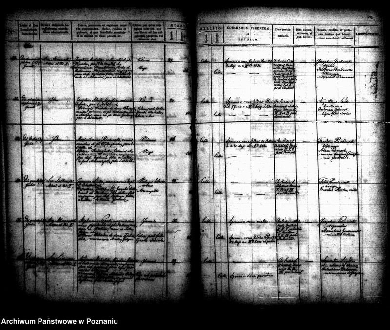Obraz 7 z jednostki "Księga małżeństw"