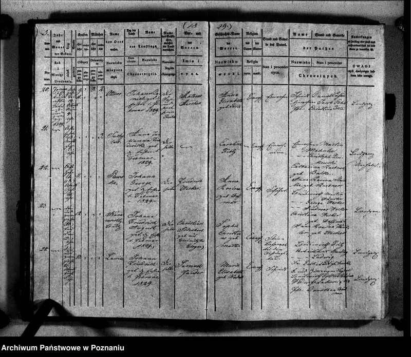 Obraz 8 z jednostki "Duplikat der Getauften, Getrauten, Verstorbenen"