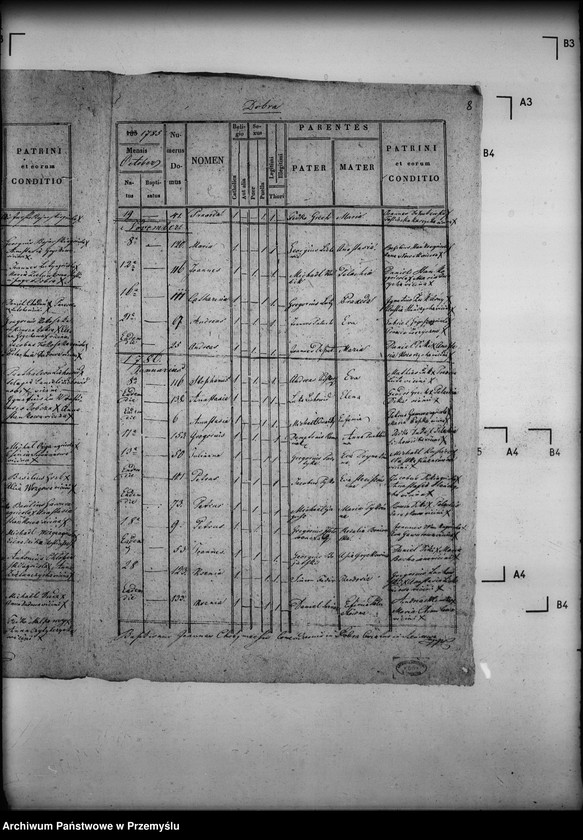 Obraz 12 z jednostki "[Kopie ksiąg metrykalnych parafii Dobra (dekanat Sieniawa)]"