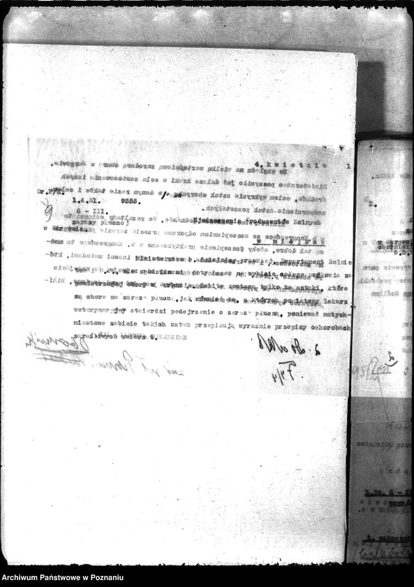 Obraz 13 z jednostki "Zaraza płucna - Oborniki"