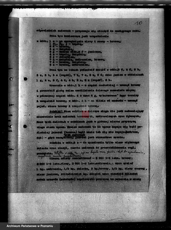 Obraz 14 z jednostki "Napachanie powiat poznański nadzór nad gospodarką leśną"