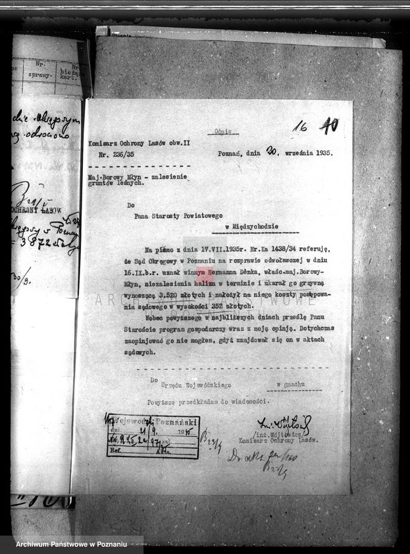 Obraz 20 z jednostki "Las majątku Borowy Młyn powiat międzychodzki"