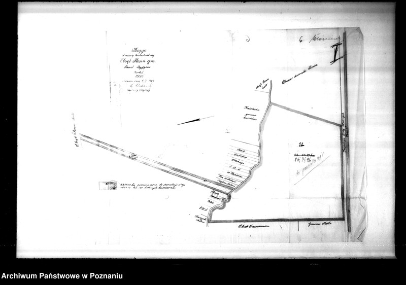 Obraz 12 z jednostki "Majętności Potulice powiatu bydgoskiego przymusowy wykup"