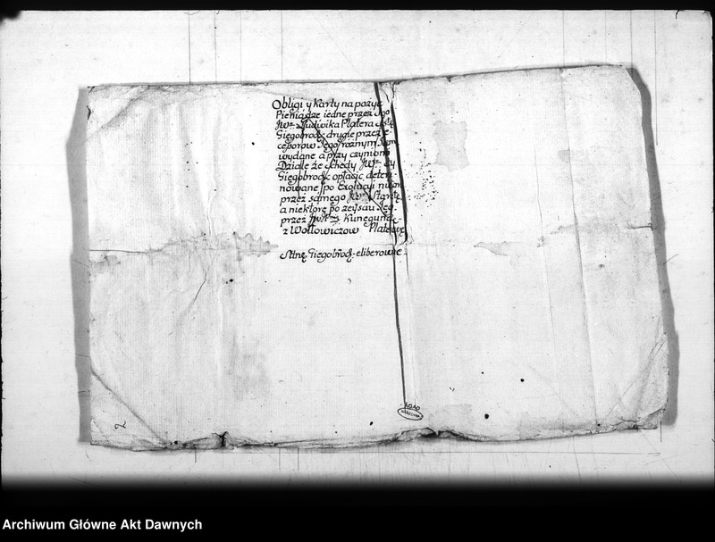 image.from.team "Archiwum Platerów z Antuzowa"