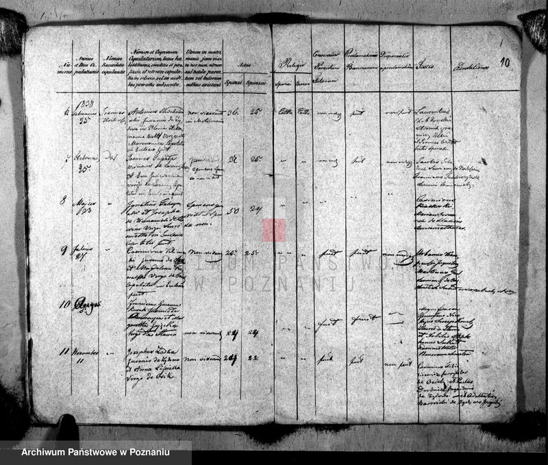 image.from.unit.number "Metrices copulatorum"
