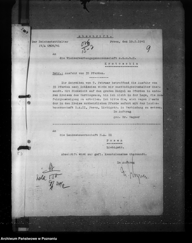 Obraz 13 z jednostki "Zarządzenia i korespondencja w sprawie sporządzenia spisu bydła"