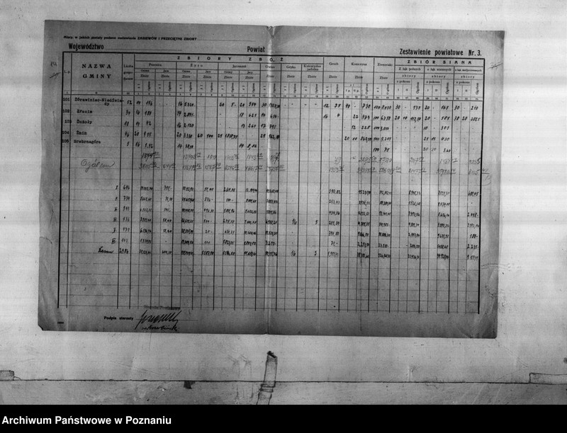 Obraz 15 z jednostki "Statystyka produkcji rolnej - zestawienie z powiatu żnińskiego"