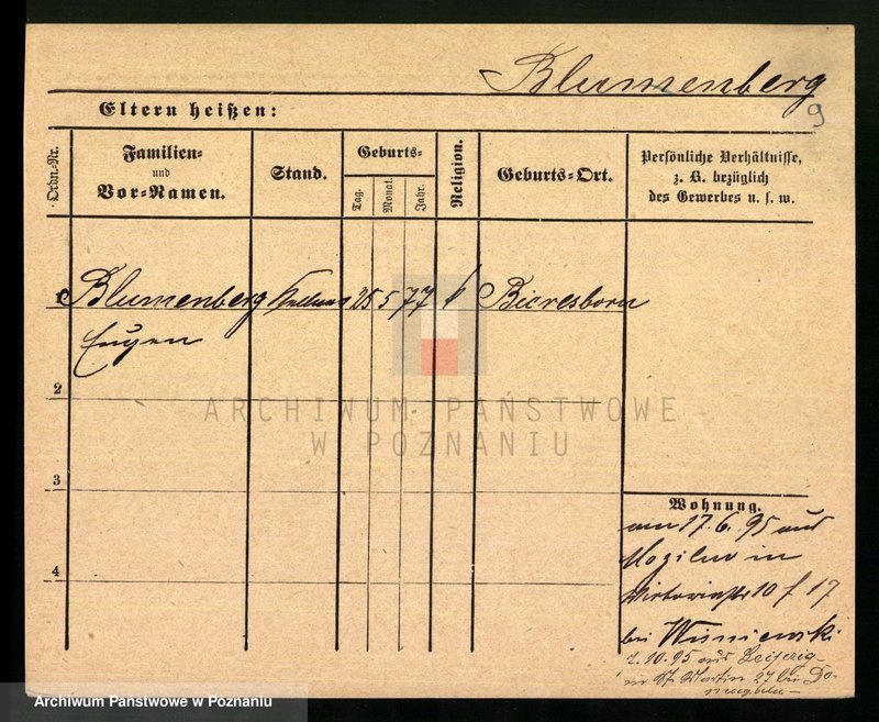 Obraz 11 z jednostki "Blumenau - Boch"