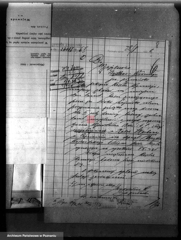 Obraz 11 z jednostki "Majętność leśna Wronczyn-Pomarzanowice powiat poznański"