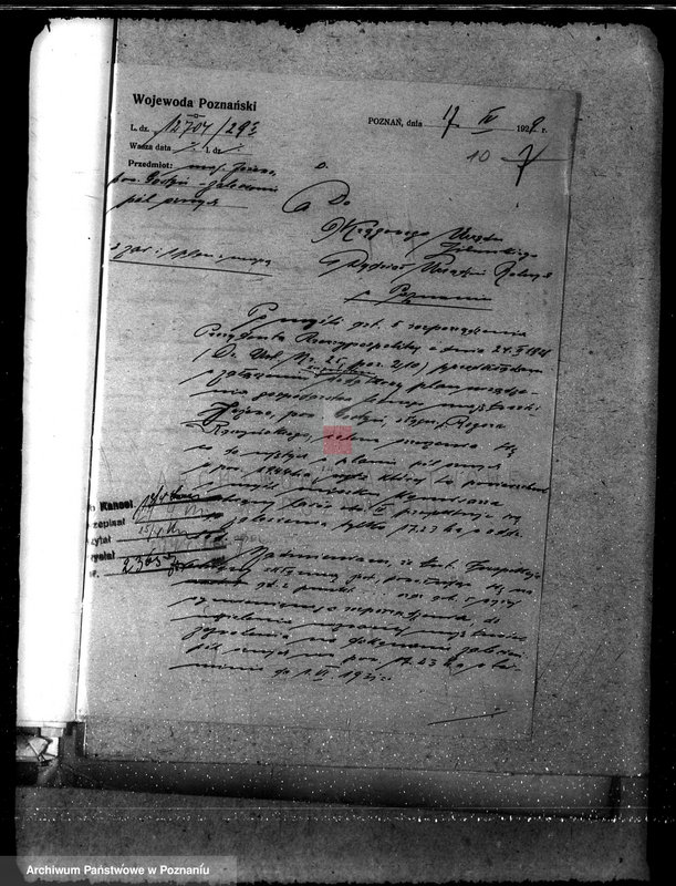 Obraz 14 z jednostki "Majętność leśna Jeżewo w powiecie gostyńskim"