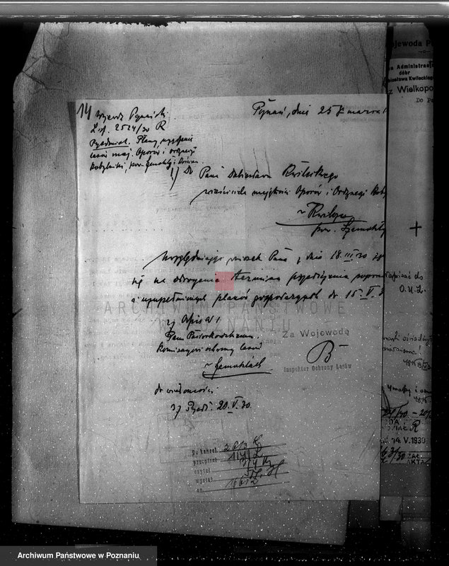 Obraz 18 z jednostki "Nadzór nad gospodarką w lasach majętności Kobylniki powiat kościański"