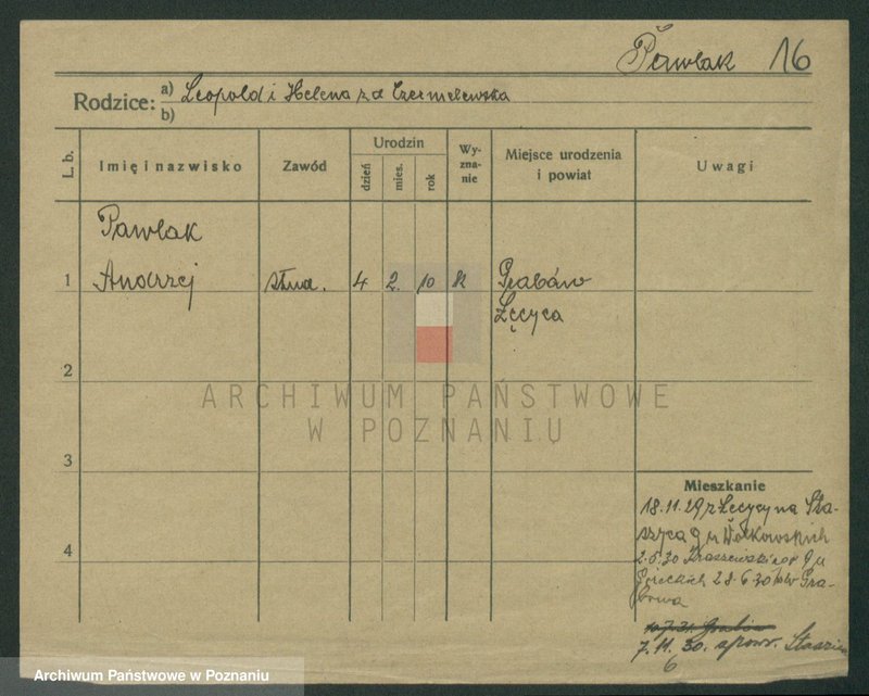 Obraz 18 z jednostki "Pawlak (samotni mężczyźni i kobiety)"