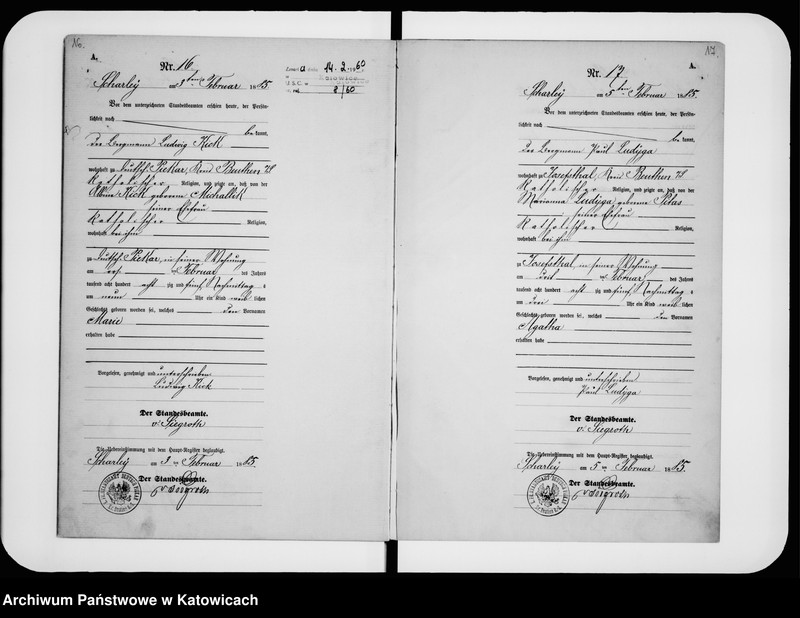 image.from.unit.number "Księga urodzeń nr 1-196"