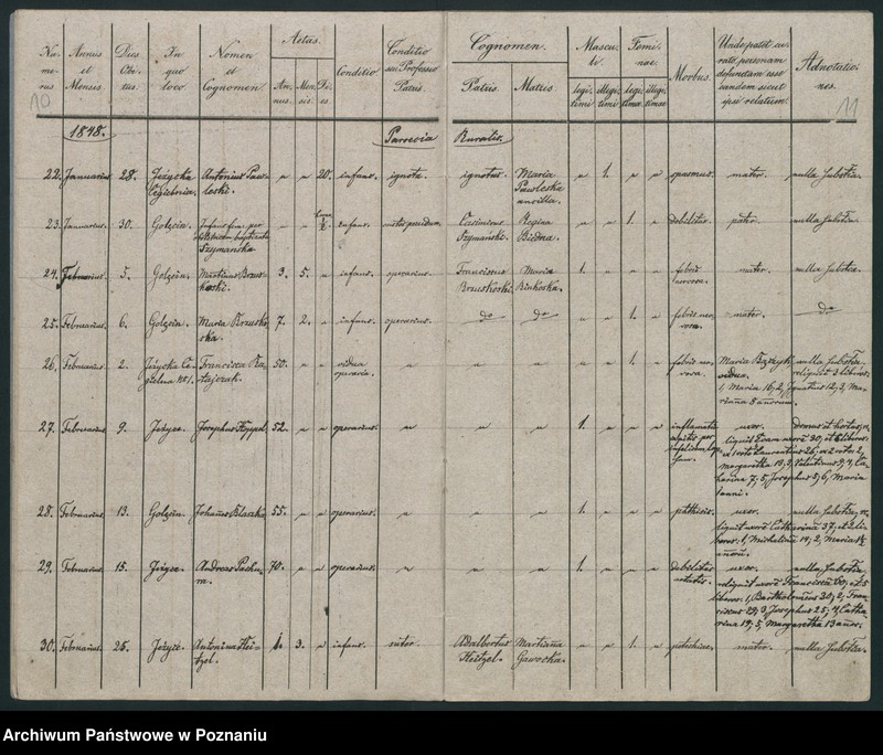 Obraz 8 z jednostki "Księga zgonów"