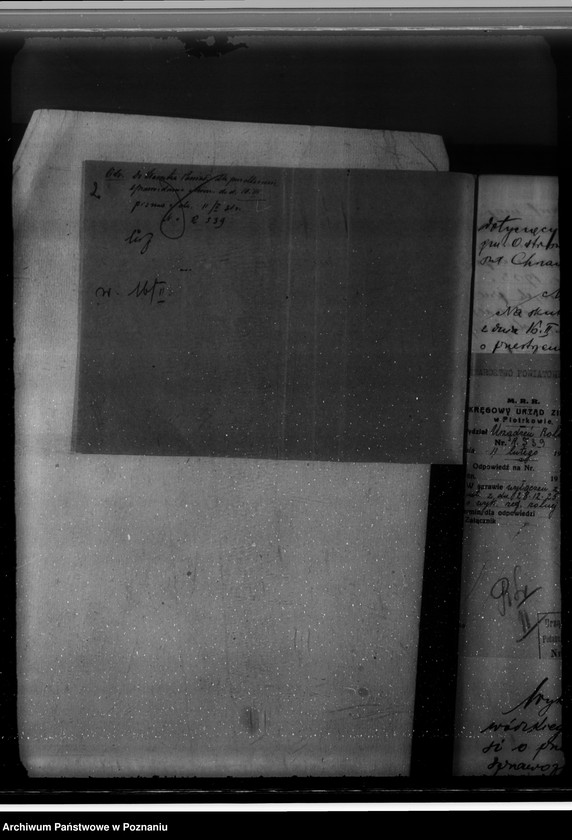 Obraz 6 z jednostki "Majątek Mieczownica powiat koniński wyłączenie obszarów leśnych w związku z wykonaniem reformy rolnej"