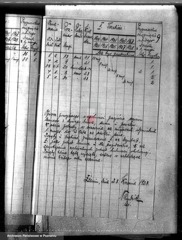 Obraz 13 z jednostki "Majętność leśna /Siekówko/ powiat kościański"