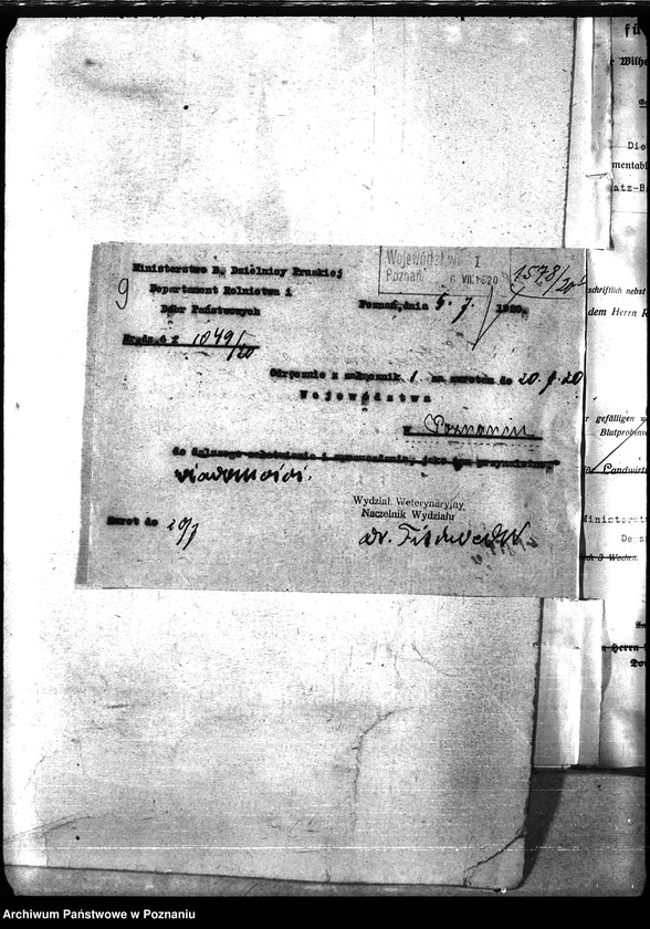 Obraz 13 z jednostki "Nosacizna - Poznań Miasto"