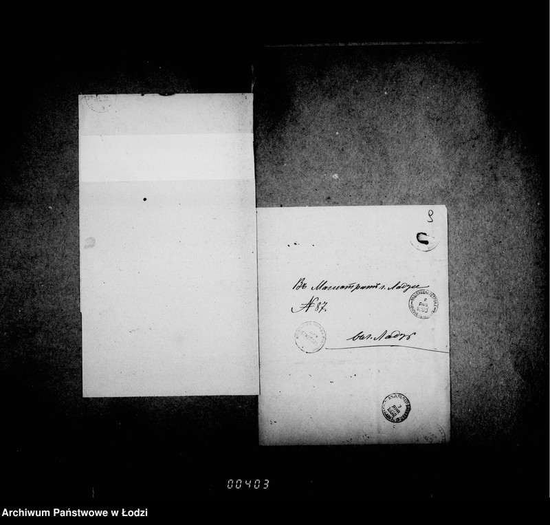 Obraz 12 z jednostki "O gorodskich lesach"