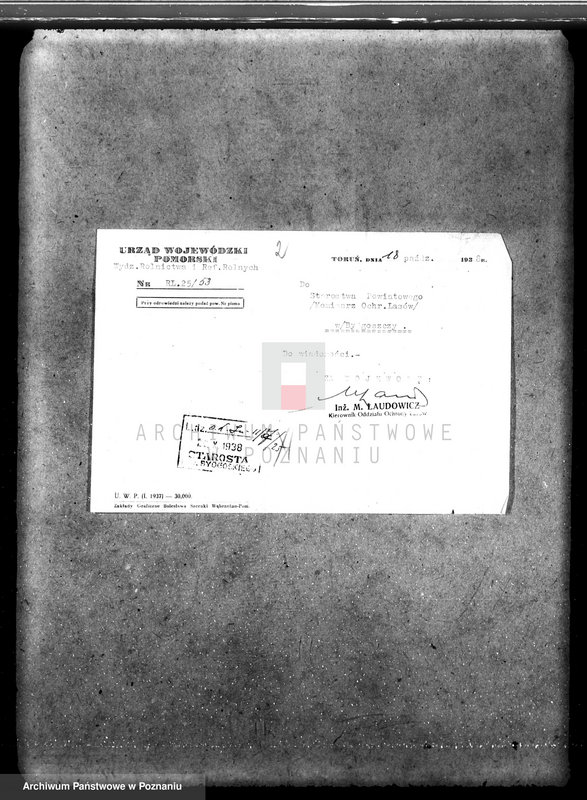 Obraz 6 z jednostki "Majątek Wierzbiczany w powiecie inowrocławskim /nadzór nad gospodarką leśną"