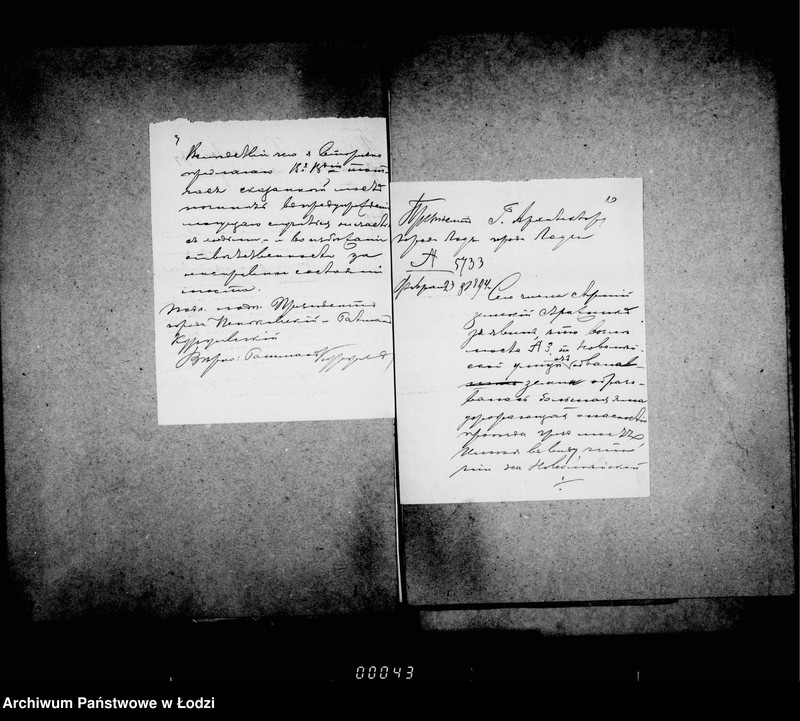 Obraz 11 z jednostki "O počinke mostov v 1894 godu"