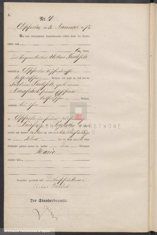 Obraz 8 z jednostki "Urząd Stanu Cywilnego w Opolu 1878 Rejestr Urodzeń Księga Miejscowa Nr 1 do 487"