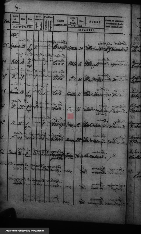 Obraz 12 z jednostki "Duplikat baptisatorum, copulatorum, mortuorum"