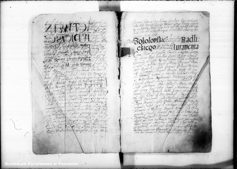 Obraz 6 z jednostki "Inscriptiones [inducta]"