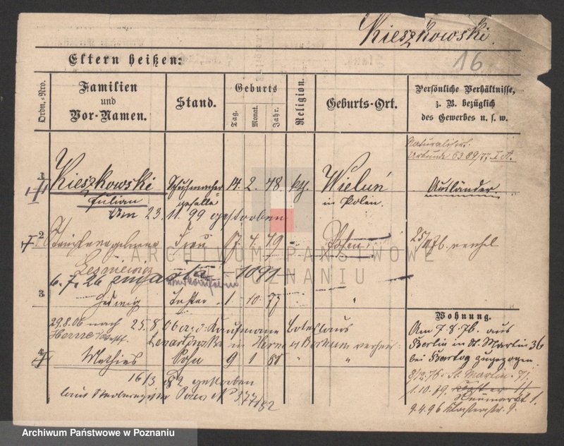 Obraz 16 z jednostki "Kiełbasa - Kiffe"