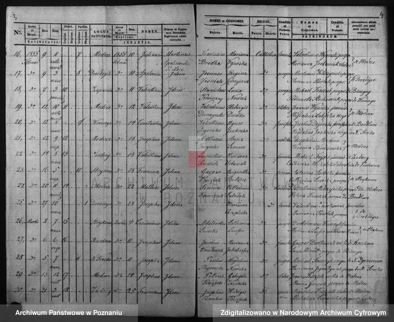 Obraz 5 z jednostki "Duplicatus baptisatorum, copulatorum, mortuorum"
