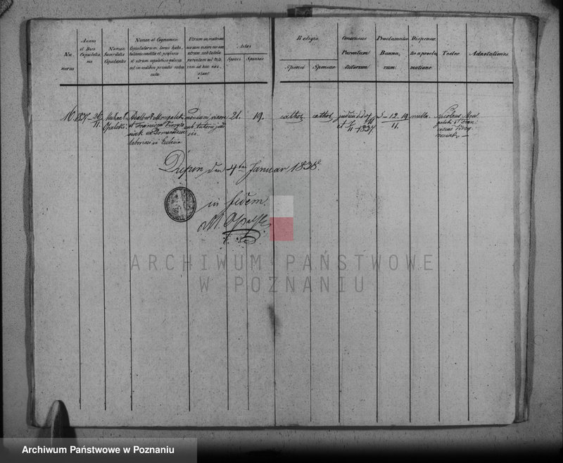 Obraz 14 z jednostki "Duplikat baptisatorum, copulatorum, mortuorum"