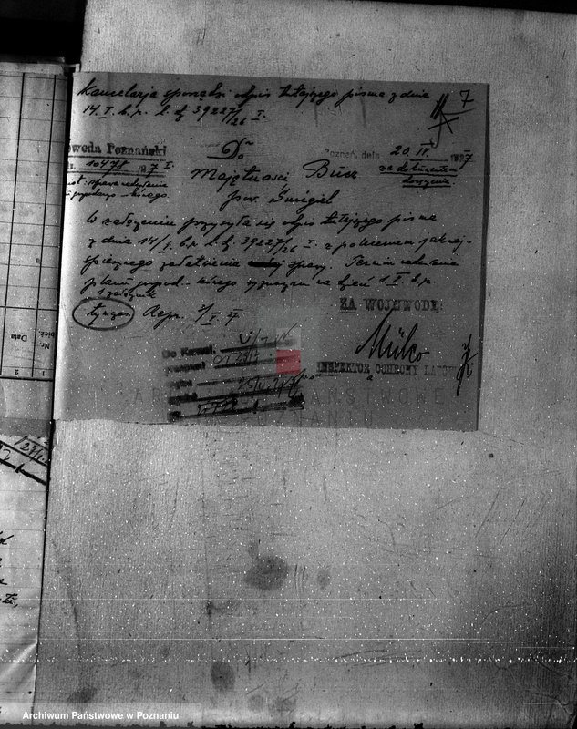 Obraz 11 z jednostki "Nadzór nad gospodarką w lasach majętności Bucz powiat kościański"