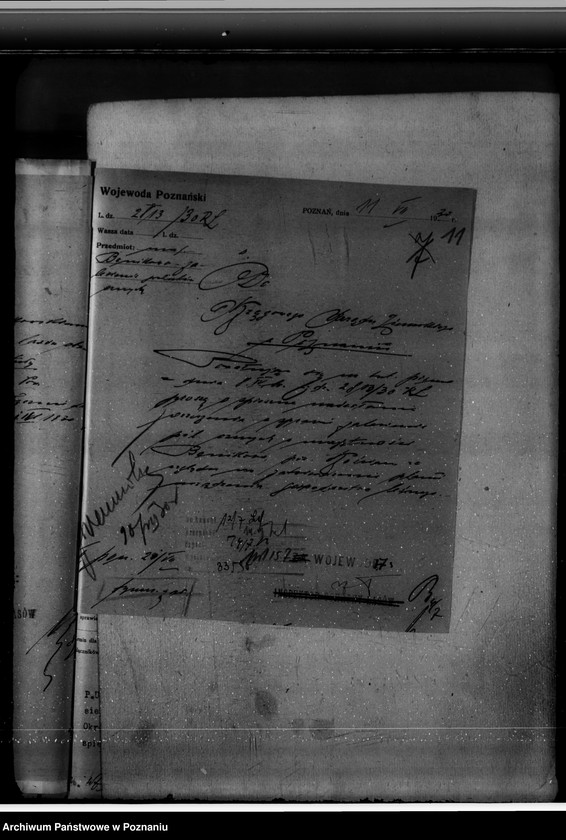 Obraz 15 z jednostki "Majętność leśna Bonikowo powiat kościański"