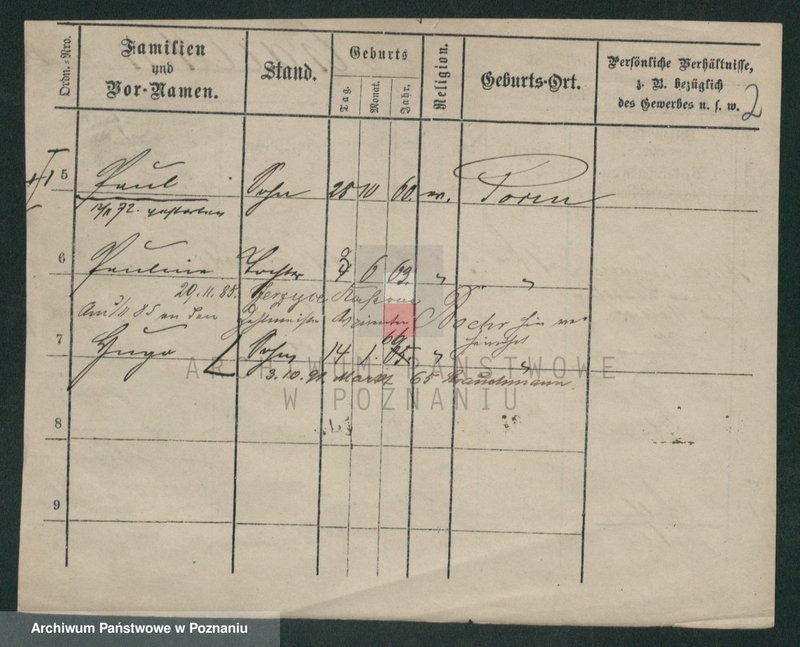 Obraz 6 z jednostki "Strauchman - Striwy (Strü...)"