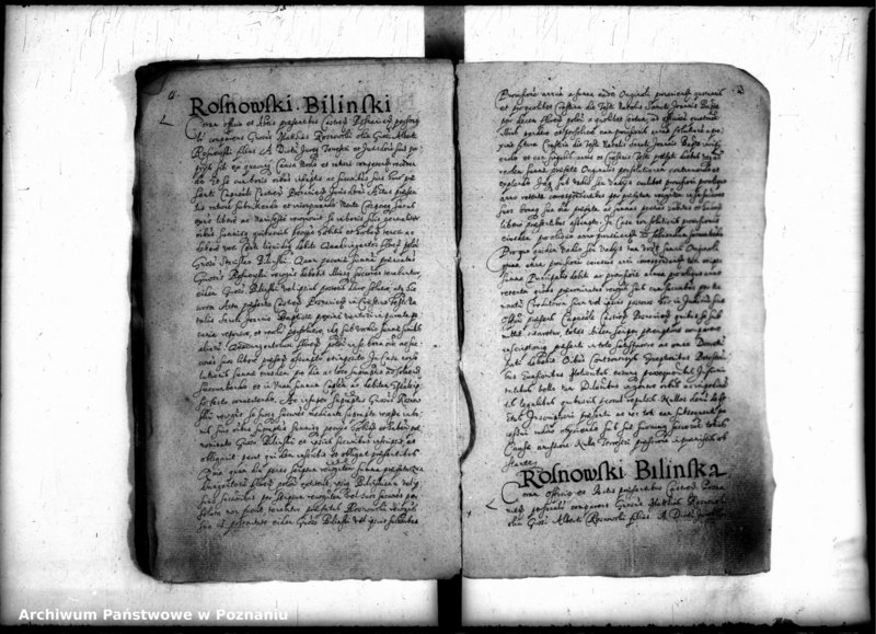 Obraz 14 z jednostki "Inscriptiones [inducta]"