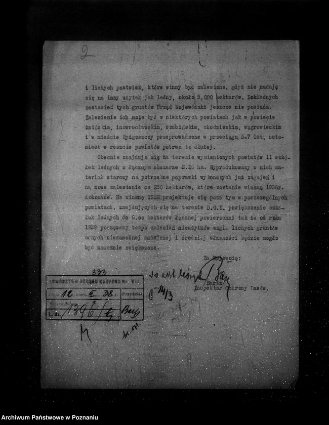 Obraz 6 z jednostki "/Zalesienie nieużytków ogólne kierownictwo akcją/"