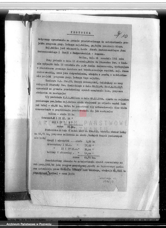 Obraz 14 z jednostki "Majątek Goliński powiat koniński /nadzór nad gospodarką leśna/"