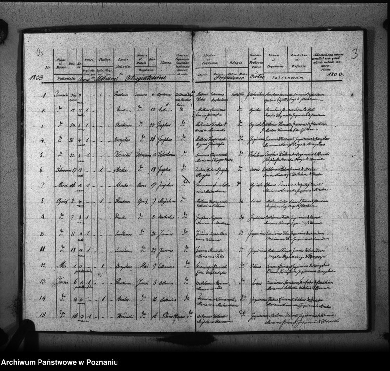 image.from.unit.number "Liber baptisatorum, copulatorum, mortuorum"