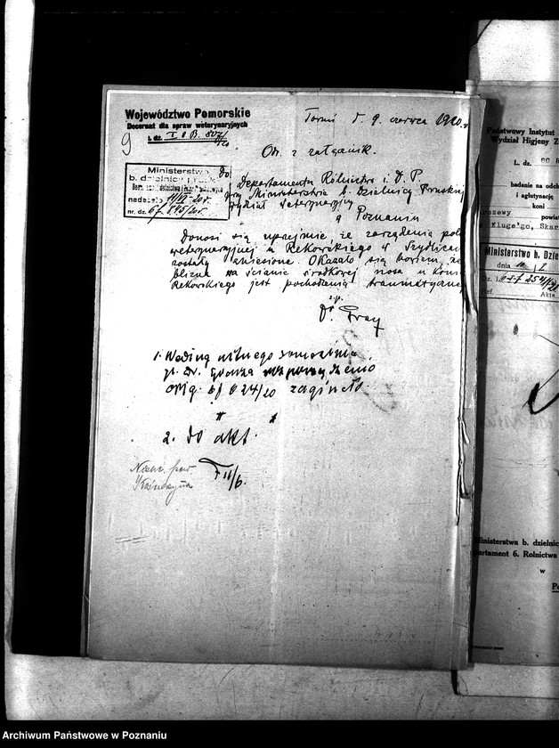 Obraz 13 z jednostki "Nosacizna - Kościerzyna"