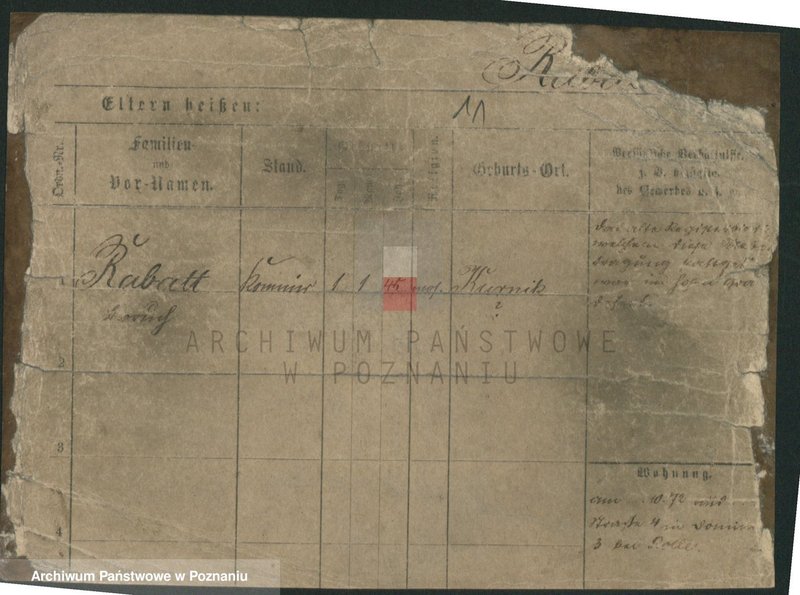 Obraz 13 z jednostki "Raab - Raczkiewicz"