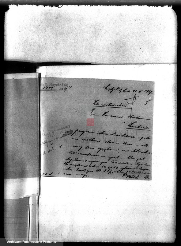 Obraz 9 z jednostki "Kościół katolicki Biezdrowo Łężeczki powiat międzychodzki /nadzór nad gospodarką leśną/"